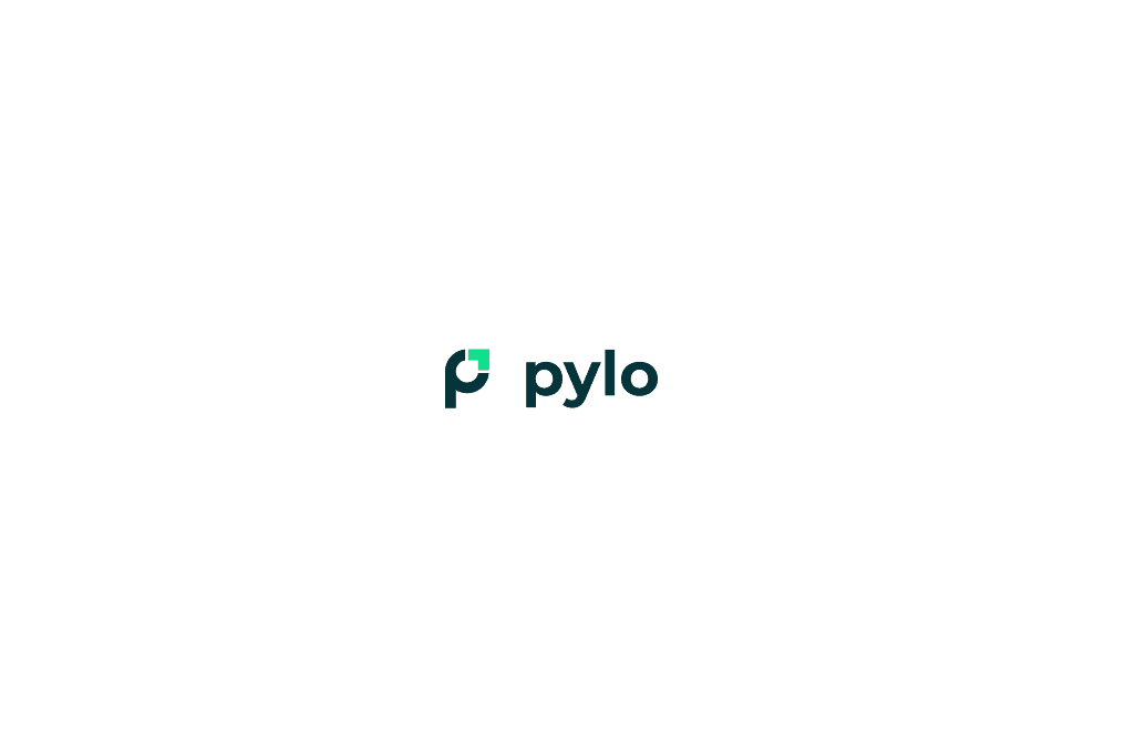 Tempo rauf, Kosten runter – mit pylo